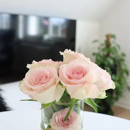 Apartment Mollehusets I Taet Ved Herning, Silkeborg Og Arhus Ikast