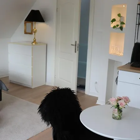 Apartamento Mollehusets I Taet Ved Herning, Silkeborg Og Arhus Ikast