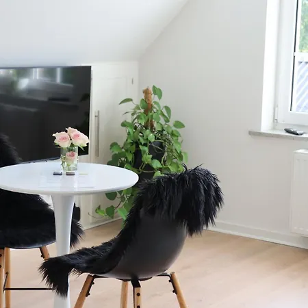 Apartman Mollehusets I Taet Ved Herning, Silkeborg Og Arhus
