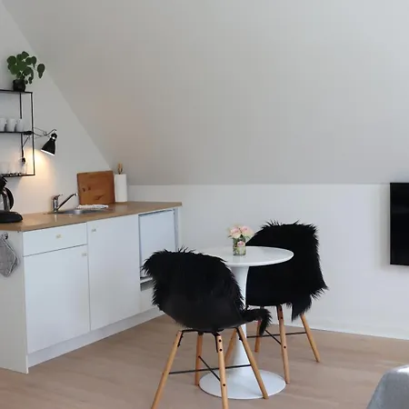 Appartamento Mollehusets I Taet Ved Herning, Silkeborg Og Arhus Ikast