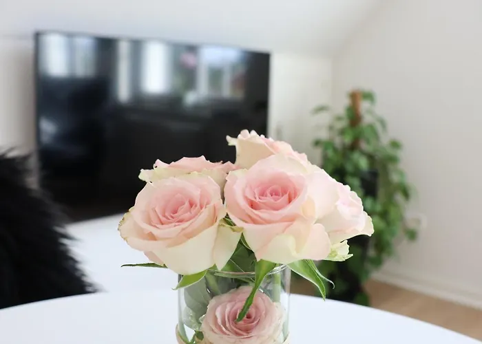 Appartement Mollehusets I Taet Ved Herning, Silkeborg Og Arhus Ikast