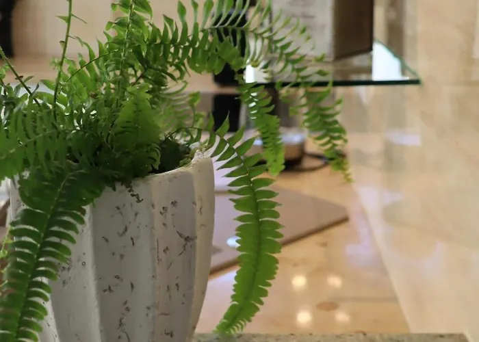 Daire Mollehusets I Taet Ved Herning, Silkeborg Og Arhus